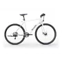 Sharp Gravel E-Bike 250W Motor App 70km biały glanz