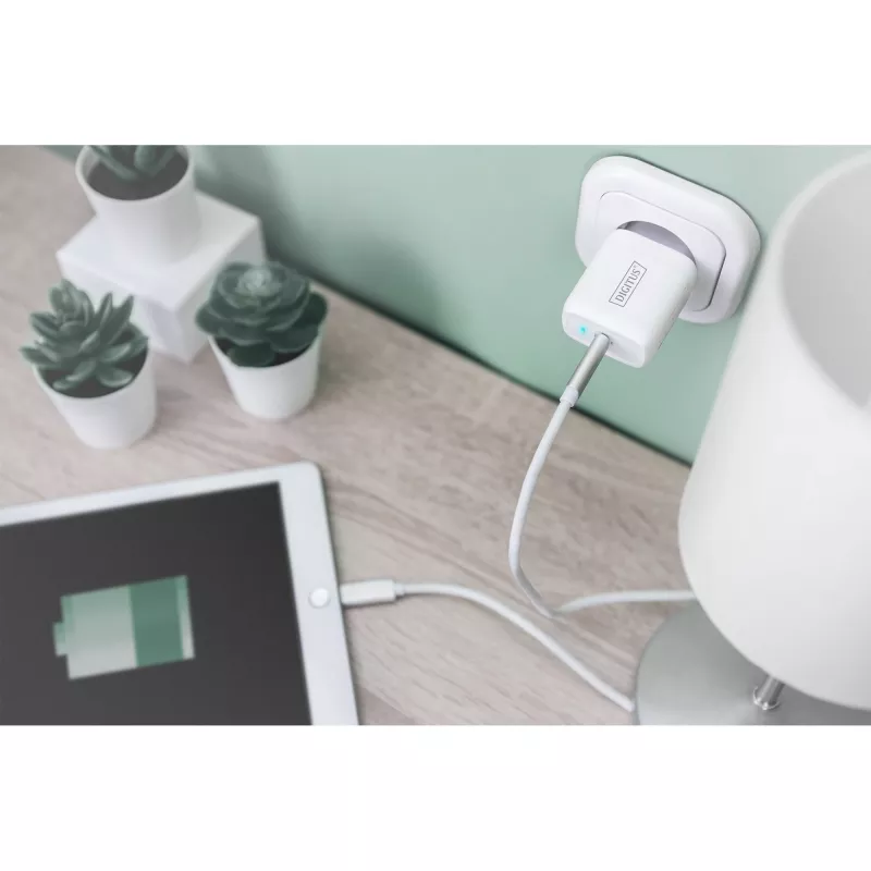 Digitus - Zasilacz - 20 W - 3 A - PD 3.0 (USB-C) - Biały (DA-10196)