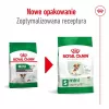 ROYAL CANIN Mini Ageing Adult +12 - sucha karma dla psów - 3,5 kg