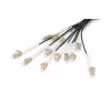 Kabel rozgałęźny Digitus DK-2433CU030BK-BBB 30m OM4 12 włókien LC/UPC