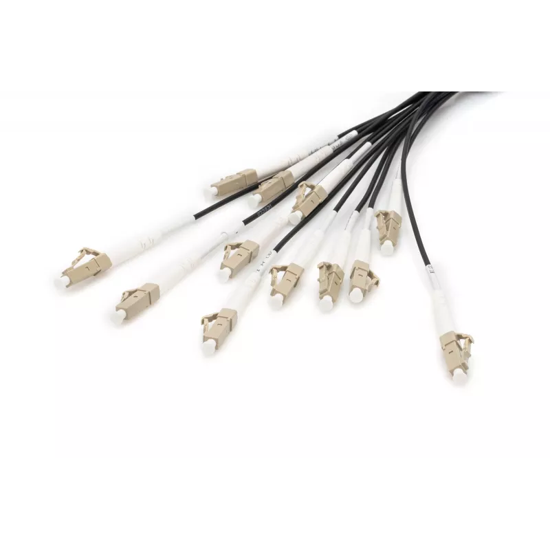 Kabel rozgałęźny Digitus DK-2433CU030BK-BBB 30m OM4 12 włókien LC/UPC