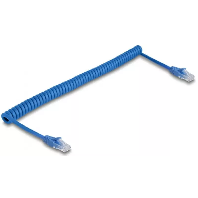 Kabel sieciowy DeLOCK 90197 Niebieski 1,2m Cat6 U/UTP