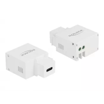 Keystone Module USB Type-C Charging Port DeLOCK 87792