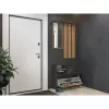 Szafka w przedpokoju top e shop GAR ANT/ART z 1 drzwiami uchylnymi, 850×240×1600 mm