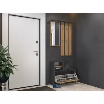 Szafka w przedpokoju top e shop GAR ANT/ART z 1 drzwiami uchylnymi, 850×240×1600 mm