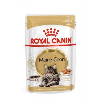 ROYAL CANIN FBN Maine Coon - mokra karma dla kota - saszetka 12x 85g