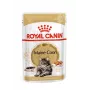 ROYAL CANIN FBN Maine Coon - mokra karma dla kota - saszetka 12x 85g