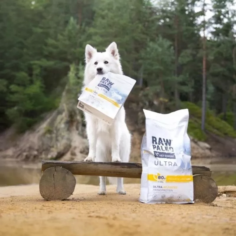 RAW PALEO Ultra Medium&Large Adult Turkey - sucha karma dla psów - 10 kg