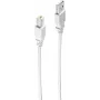 shiverpeaks BASIC-S USB 2.0 Cable, A-Plug - B-Plug 1,8 m (BS-77022)