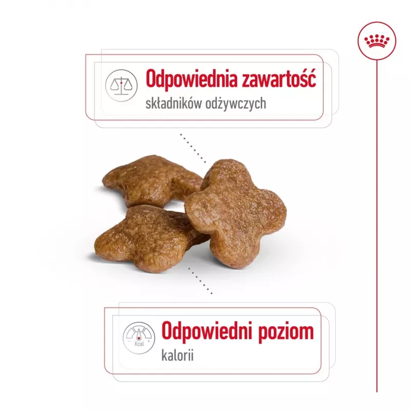 Sucha karma dla psów Royal Canin Mini Adult 8+ 2 kg — rasy małe 5–10 kg, drób, formuła kontroli wagi