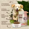 Sucha karma dla psa VETEXPERT Raw Paleo Healthy Grain Puppy Łosoś i Jęczmień 10 kg, białko 29% tłuszcz 17% wilgotność 9%