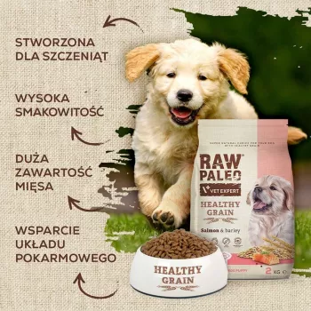 VETEXPERT Raw Paleo Healthy Grain Puppy Salmon & Barley sucha karma dla szczeniąt, 10 kg