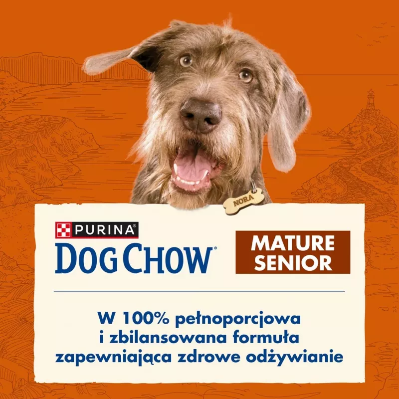 Sucha karma dla psa Purina Nestlé Dog Chow Mature Senior z jagnięciną, 14 kg, 24% białka, 10% tłuszczu