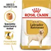 Royal Canin BHN Labrador Adult sucha karma dla psów, 12 kg