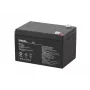 Akumulator kwasowo-ołowiowy bezobsługowy VIPOW BAT0216 12V 12Ah