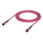 Kabel światłowodowy MPO Ubiquiti UACC-OFC-MA-MPMP-5M 5m OM4