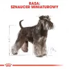 Sucha karma dla psa Royal Canin Miniature Schnauzer Adult, drób, 3 kg, dla małych ras