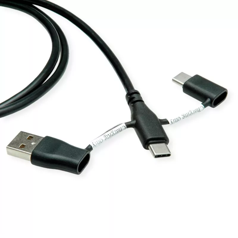 Kabel ROLINE USB 2.0 typu C ST/ST z adapterami blokującymi dane A i C — Kabel — Cyfrowy/Dane