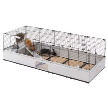 FERPLAST Modular 4 - klatka dla królika i świnki morskiej domowej - 179 x 72 x 56cm