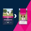 Sucha karma dla psa EUKANUBA Puppy & Junior Small/Medium Lamb & Rice 3 kg — karma pełnoporcjowa dla młodych psów ras małych/średnich