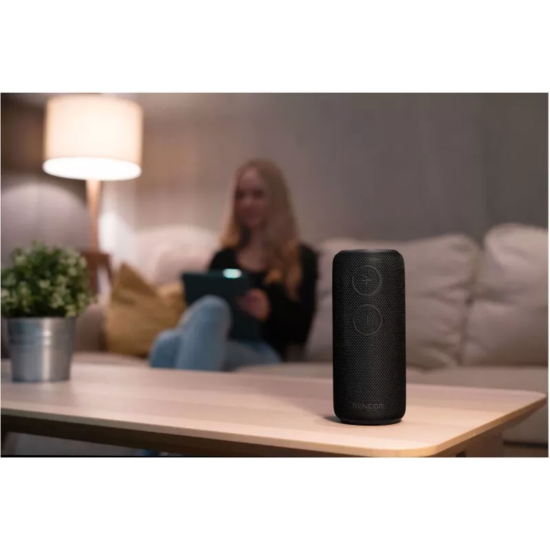 Głośnik Bluetooth SIRIUS 2 Czarny Moc 20W