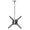 Barkan 3500 uchwyt sufitowy do telewizora, regulowany, 13-65", 40 kg, biały
