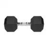 Gumowany hantel żeliwny HEX 20 kg REBEL ACTIVE