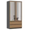 Topeshop SZAFA MALWA AN/AR L bedroom wardrobe/closet 5 shelves 2 drzwi(s)