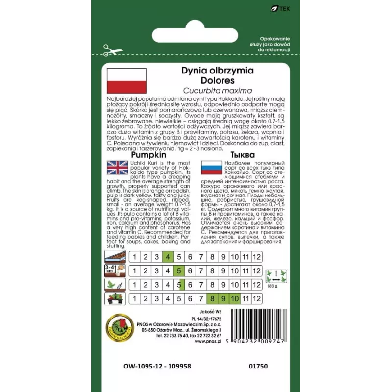 Nasiona — Apte Dynia Olbrzymia Dolores (dynia olbrzymia) nasiona, opakowanie 5 g