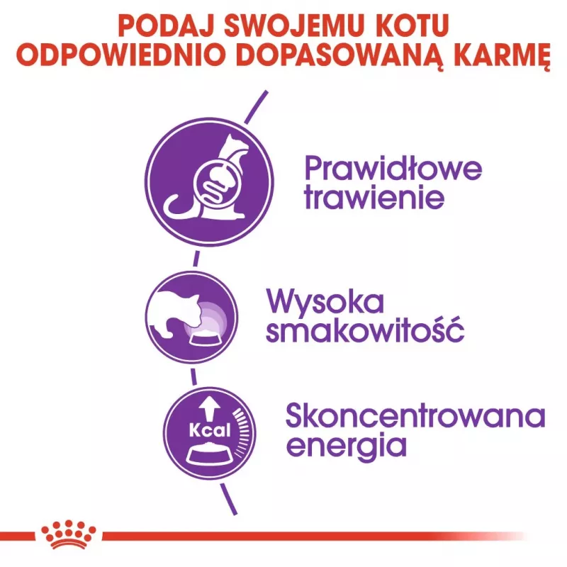 Royal Canin FHN Sensible sucha karma dla dorosłych kotów, 4 kg