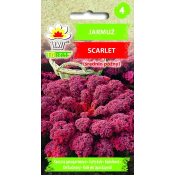 Nasiona jarmużu Scarlet Toraf, opakowanie 1 g