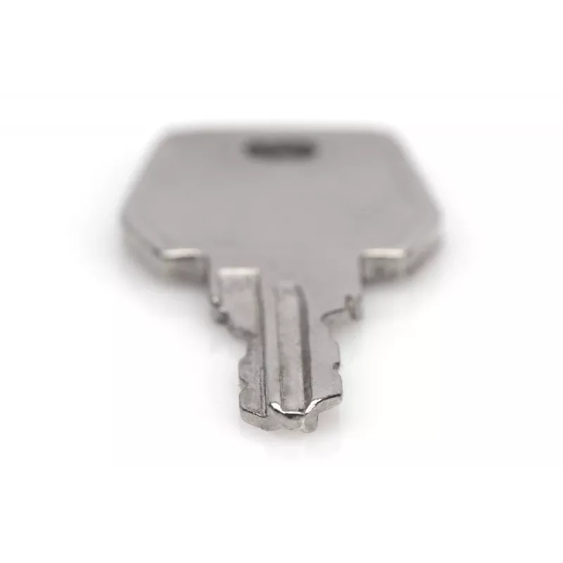 Klucz do szaf sieciowych i serwerowych Digitus DN-19 KEY-9473