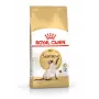Sucha karma dla kota Royal Canin Siamese 2 kg — Dorosły, Drób, Białko 38%, Tłuszcz 16%