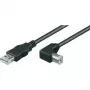 Wentronic Goobay Kabel USB 2.0 Hi-Speed, czarny, 5 m - wtyk USB 2.0 (typ A) > wtyk USB 2.0 (typ B) (95118)