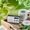Przenośne radio cyfrowe Adler AD 1907 — AM/FM, tuner cyfrowy, alarm, USB-C, bateria 600 mAh, LCD, 20 ustawień, antena teleskopowa