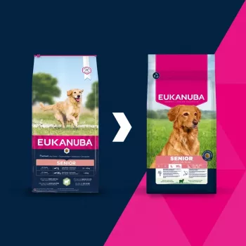 Sucha karma dla psa EUKANUBA Senior Large Lamb and Rice 12 kg — dla starszych psów dużych ras, 24% białka, 12% tłuszczu