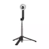 Telesin magnetyczny selfie stick do iPhone 12-16