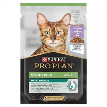 PURINA Pro Plan Sterilised Adult Maintenance z indykiem w galarecie - mokra karma dla kotów - 85g