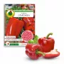 Seed Pellets Seklos LT Ożarowska Papryka 50 nasion (otoczkowane)