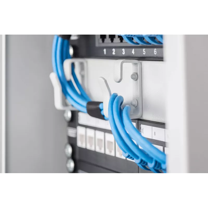 Panel do zarządzania kablami Digitus DN-10 ORG-1U