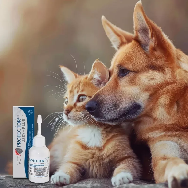 Roztwór do uszu JM Sante Vet Protector Uszy Plus 50 ml — pielęgnacja uszu dla dorosłych psów i kotów, butelka plastikowa