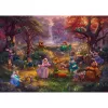 Thomas Kinkade Studios: Disney - Robin Hood, Puzzle 1000 elementów