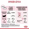 sucha karma dla kota Royal Canin Kitten 10 kg — kurczak, 36% białka, 18% tłuszczu, dla kociąt i kotek w ciąży/laktacji