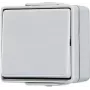 JUNG 607 W - Przełącznik przyciskowy - Przewodowy - Szary - tworzywo termoutwardzalne - 250 V - 10 A