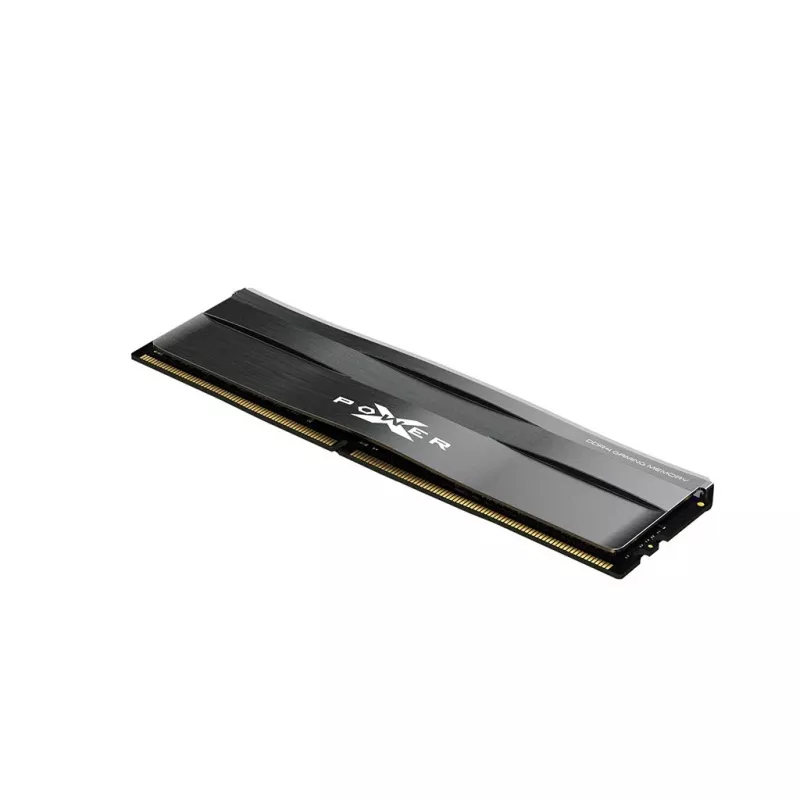 Moduł pamięci Silicon Power SP008GXLZU320BSC