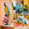 Zestaw konstrukcyjny LEGO Egzotyczna papuga 31136 — model wystawowy Creator, 253 elementy, 220×120×110 mm