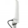 Dookólna antena 4 dBi 5G/LTE Poynting A-OMNI-0280-02-V1 SMA (męski) kabel 2 m, montaż na maszcie/ścianie, biały