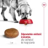 Sucha karma dla psa Royal Canin Maxi Adult 5+ 15 kg — kurczak, białko 26%, tłuszcz 17%