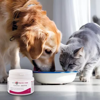 Suplement diety JM Sante Multibiotic Vet Protector Gastro dla psów i kotów, 60 g — wsparcie probiotyczne dla dorosłych zwierząt