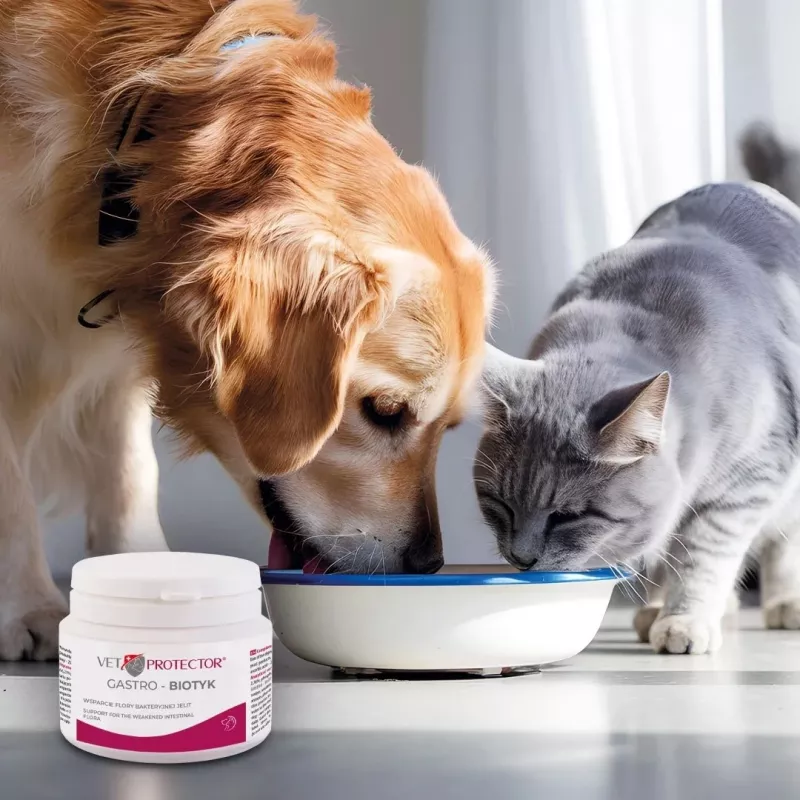 Suplement diety JM Sante Multibiotic Vet Protector Gastro dla psów i kotów, 60 g — wsparcie probiotyczne dla dorosłych zwierząt